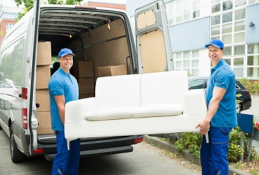 Removalists