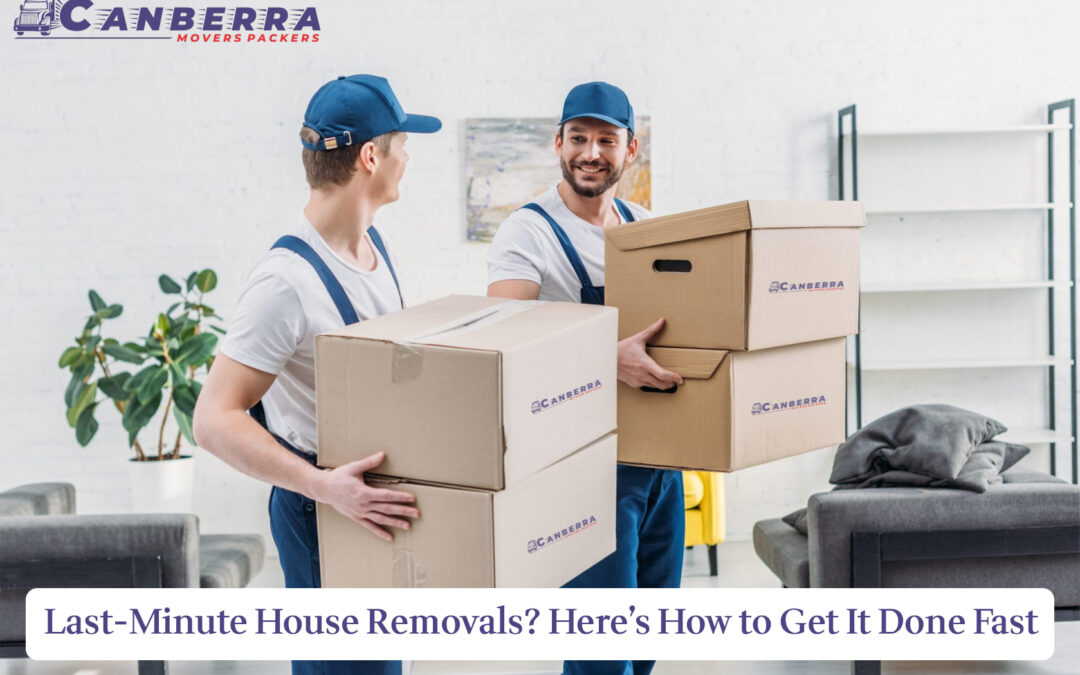 canberra movers packers blog image