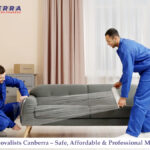 furniture removalists